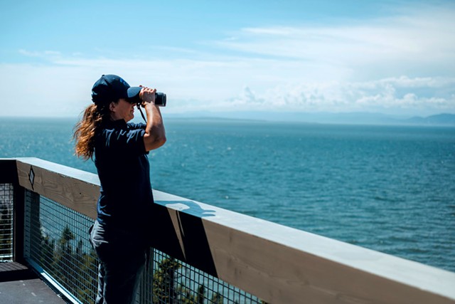 Observation des baleines - COURTOISIE D'ORIGINES PHOTOGRAPHIE
