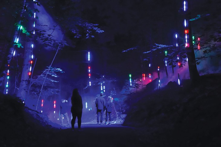 Foresta Lumina - AVEC L'AUTORISATION DE TOURISME CANTONS DE L'EST/MATHIEU DUPUIS