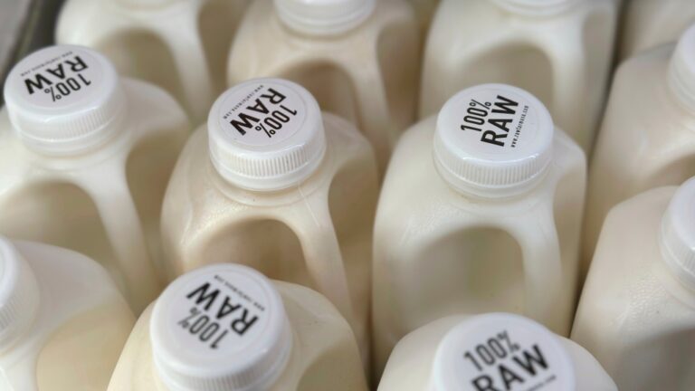 Bottles of raw milk are displayed for sale at a store in Temecula, Calif., on Wednesday, May 8, 2024. (AP Photo/JoNel Aleccia)