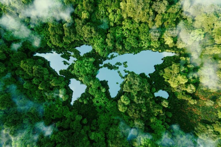 Stimuler la croissance des entreprises grâce à l'exportation : Célébrer les succès du Programme d'exportation du Nord de l'Ontario