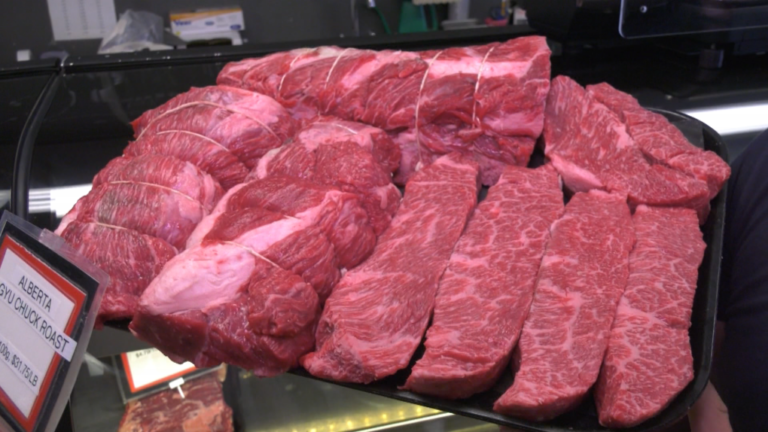 Bœuf sur glace et hors glace : qui a le meilleur steak entre l'Alberta et le Texas ?