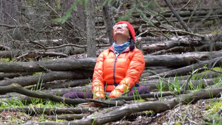 Bain de forêt : qu'est-ce que c'est et pourquoi certains médecins de l'Alberta le recommandent