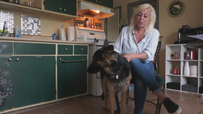 Une Lavalloise souffrant d'un problème de santé risque d'être expulsée à cause d'un chien dressé pour l'aider à fonctionner