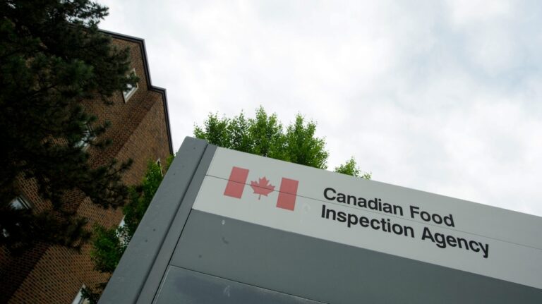 Canadian Food Inspection Agency in Ottawa on Wednesday, June 26, 2019. (THE CANADIAN PRESS/Sean Kilpatrick )