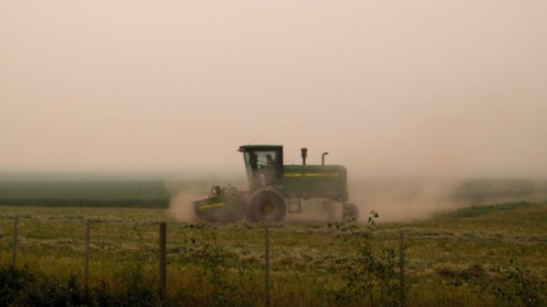 Smoke from wildfires fills the air as a woman harvests a field of hay on a farm in Northern B.C., on Thursday, Aug. 16, 2018. THE CANADIAN PRESS/Darryl Dyck