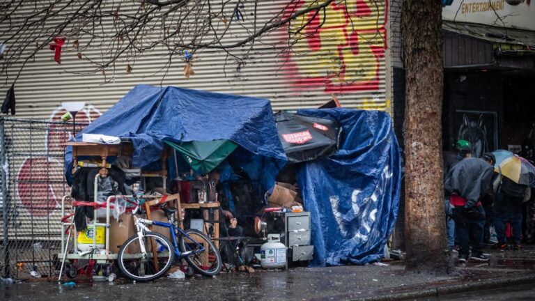 Consommateurs de drogues souffrant de lésions cérébrales et de troubles mentaux en Colombie-Britannique : un traitement forcé est envisagé pour une « triade clinique »