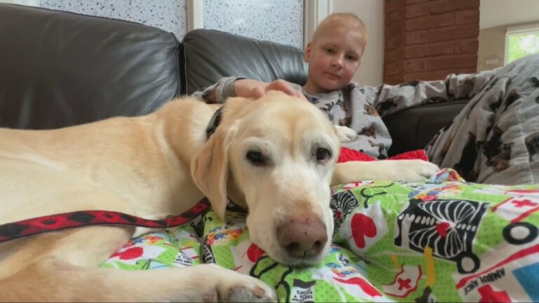 Isaac, le chien de thérapie, fête ses 10 ans après des centaines de visites à des enfants du CHEO et du Manoir Ronald McDonald
