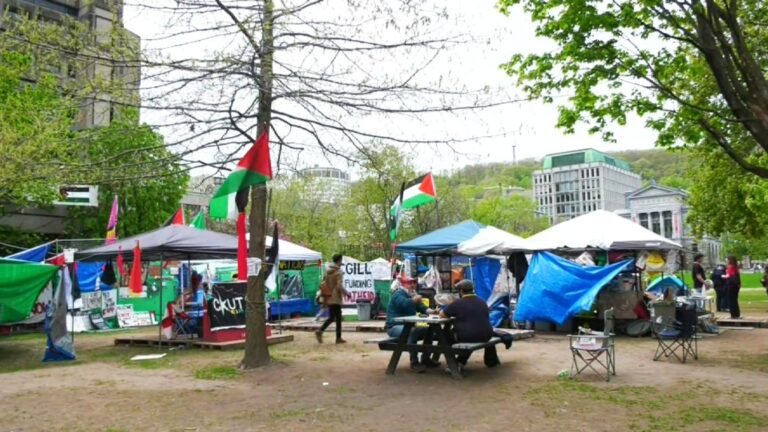 L’Université McGill met fin aux négociations avec un campement pro-palestinien
