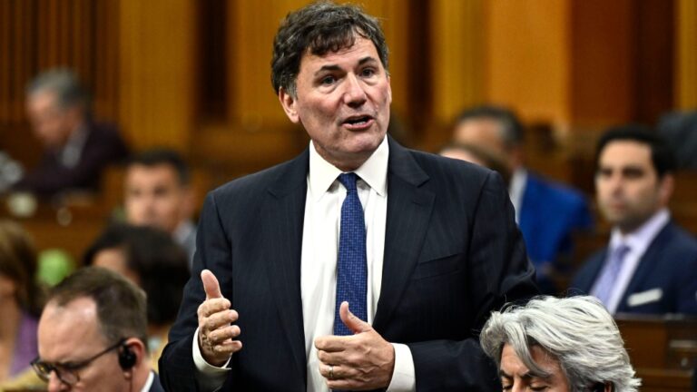 Les libéraux affirment qu’une enquête sur l’ingérence étrangère devrait se pencher sur les allégations des députés
