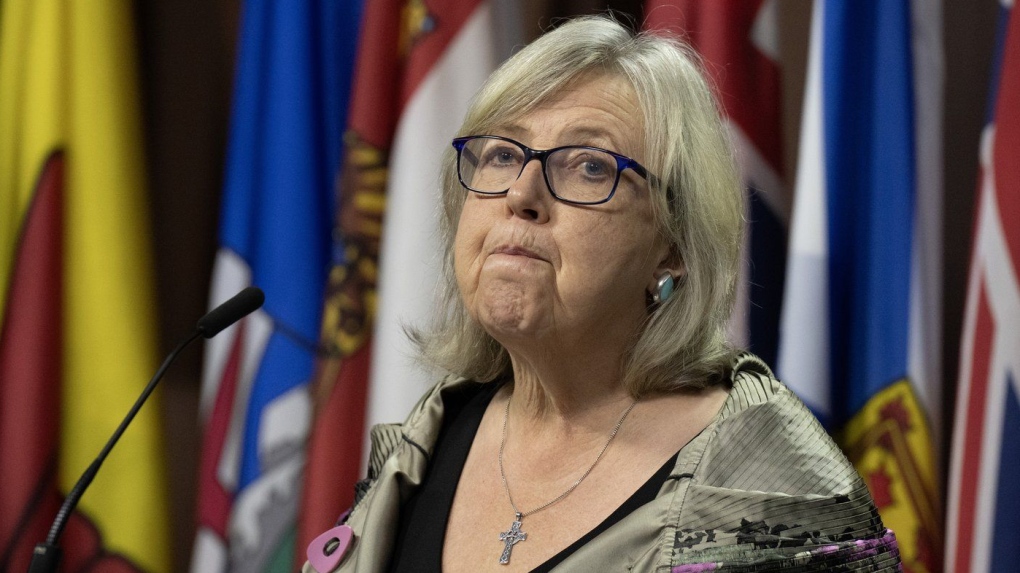 « Stupide » ou « contraire à l'éthique » : le chef des Verts suggère que les députés auraient dû poser davantage de questions