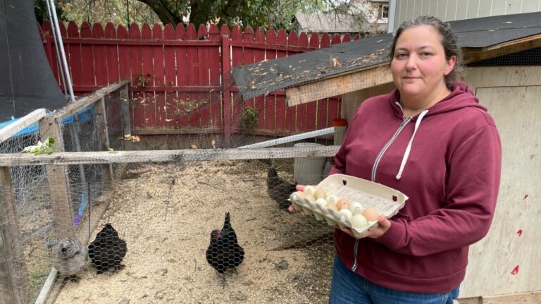 Un règlement d'Ottawa dit à la famille d'Orléans de reloger ses poules de basse-cour