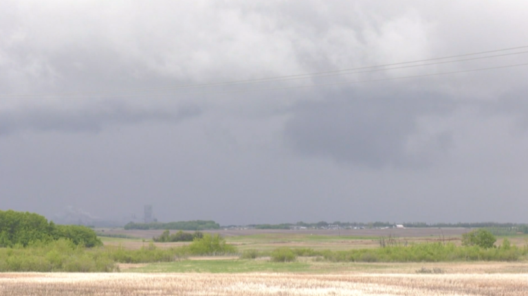 Une plongée dans le pétrichor, l'odeur qui suit la pluie
