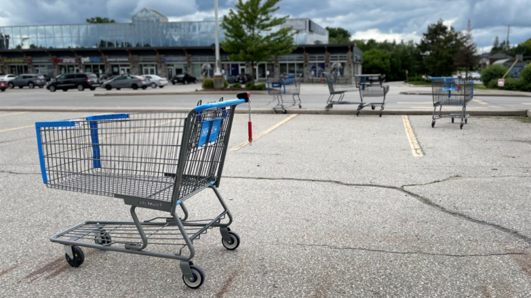 Une vidéo virale suscite un débat sur l'étiquette du panier d'achat