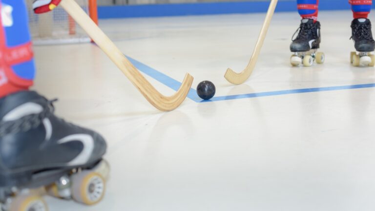 Une ville de Colombie-Britannique perd son appel concernant une récompense d'un million de dollars pour la blessure d'un spectateur à la rondelle de hockey