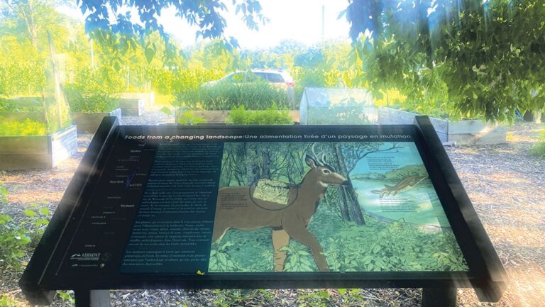 De nouvelles illustrations racontent l'histoire de l'Intervalle de Burlington