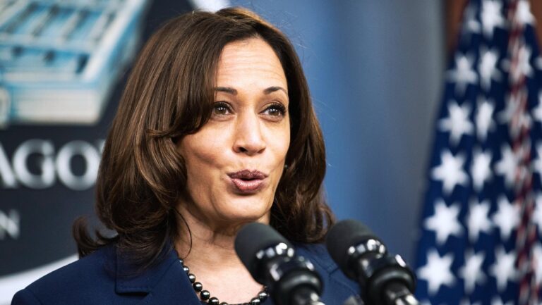 Le soutien démocratique à Kamala Harris se renforce dans le Vermont