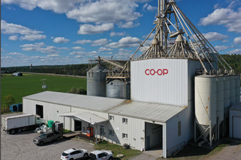 De la ferme à la table : la prospérité de l'agriculture dans le nord-est favorise l'expansion des capacités de stockage des céréales