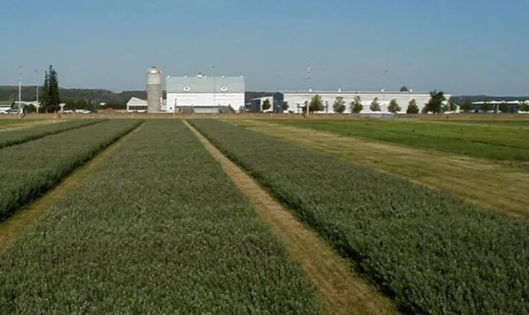 La province modernise l'usine de semences de New Liskeard