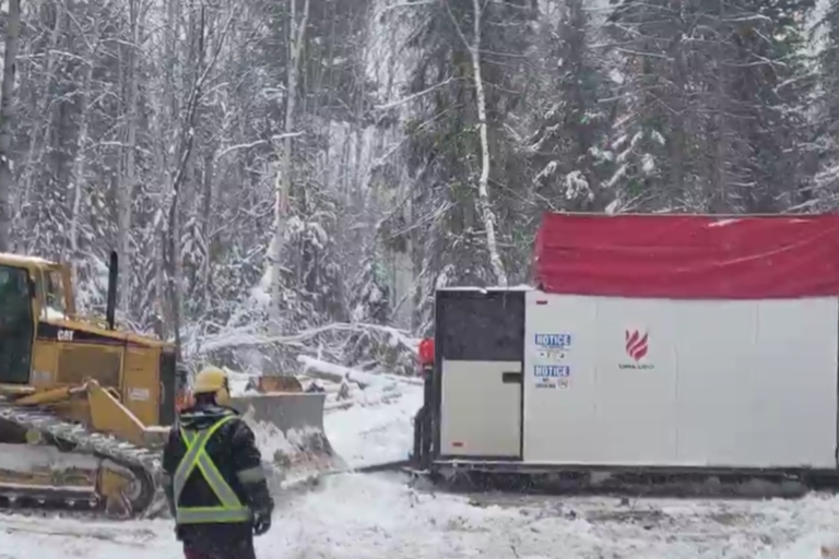 Le promoteur de nickel de Timmins a un gisement d'or à vendre