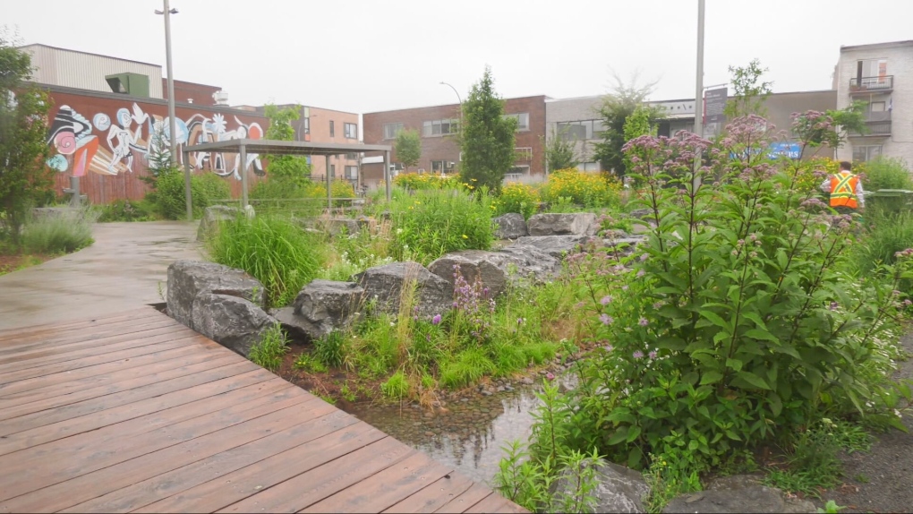 Les parcs éponges de Montréal épongent la tempête