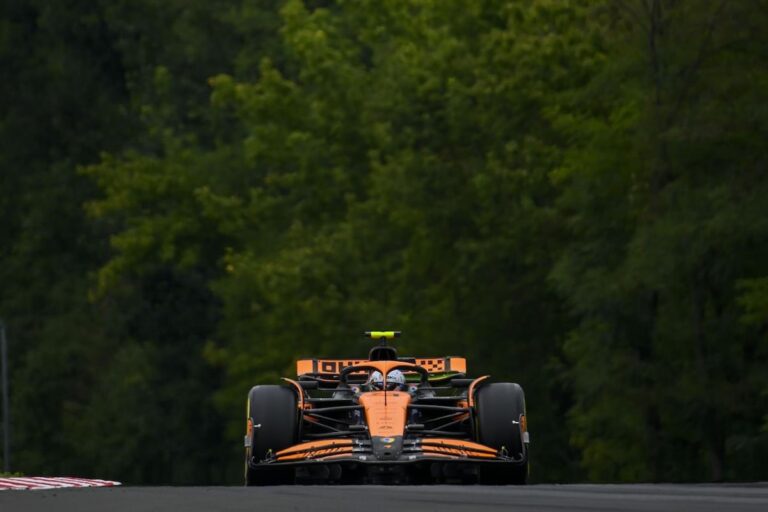Norris et Piastri de McLaren signent les meilleurs temps lors de la troisième séance d'essais du Grand Prix de Hongrie