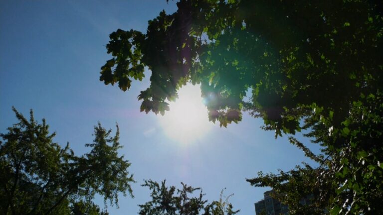 Plusieurs alertes météo en vigueur pour le Grand Montréal