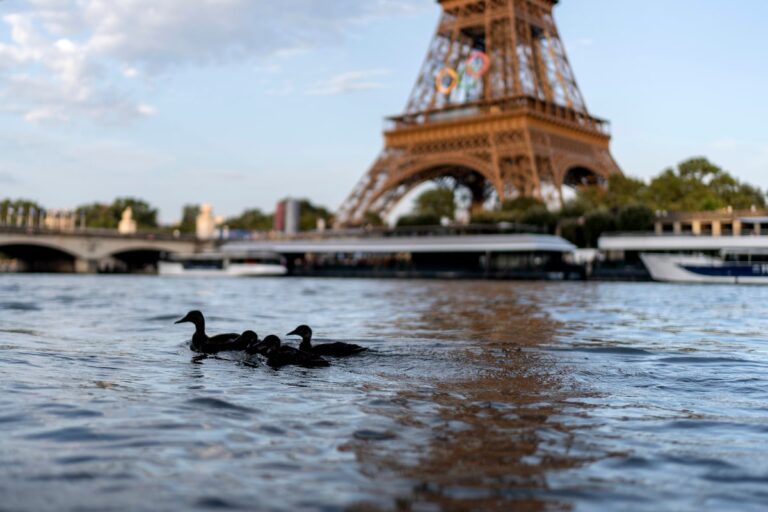 JO de Paris : cinq choses à ne pas manquer jeudi