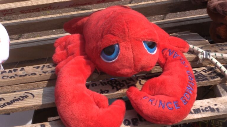 « Lucky the Lobster » s'arrête dans le nord de l'Ontario alors qu'il fait de l'auto-stop vers l'Alberta