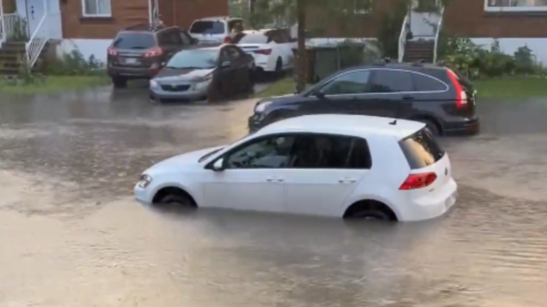 Tempête à Montréal : témoignages de première main sur les inondations et le chaos