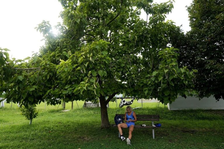 Cette sprinteuse italienne deviendra la première femme transgenre à participer aux Jeux paralympiques