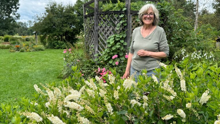 Coincé dans le Vermont : l'heure du thé à la pépinière Summersweet Garden à East Hardwick avec Rachel Kane