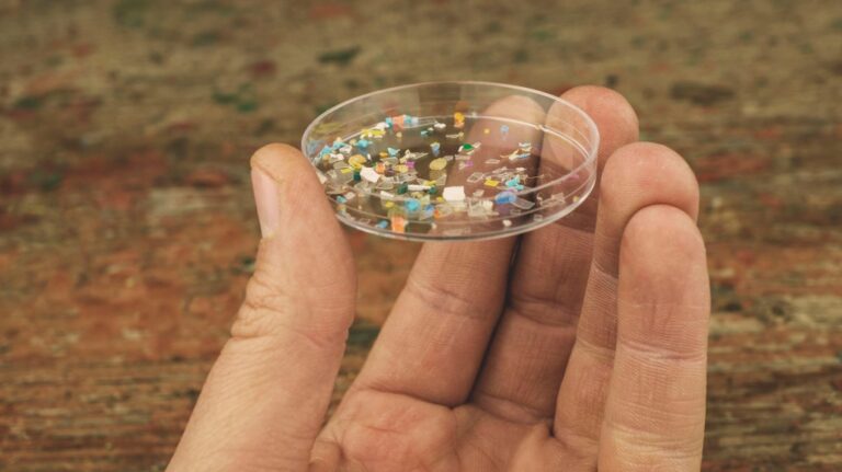 Microplastics can sometimes be seen with the naked eye and nanoplastics cannot. (Svetlozar Hristov/iStockphoto/Getty Images via CNN Newsource)