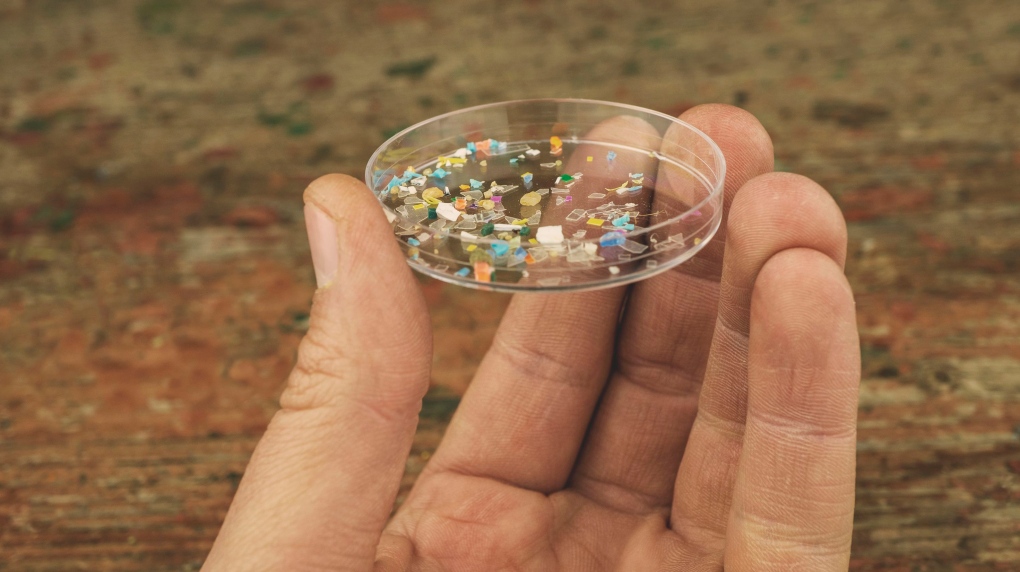 Microplastics can sometimes be seen with the naked eye and nanoplastics cannot. (Svetlozar Hristov/iStockphoto/Getty Images via CNN Newsource)