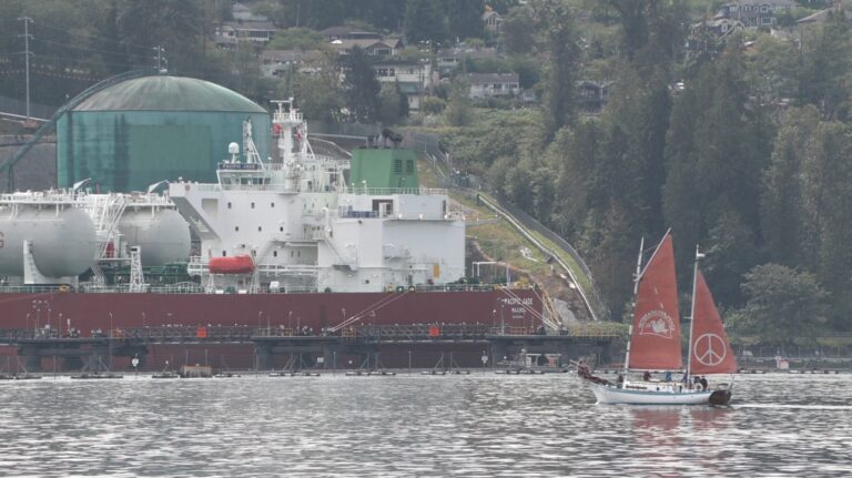 Des militants américains et canadiens se réunissent pour protester contre l'expansion du pipeline Trans Mountain