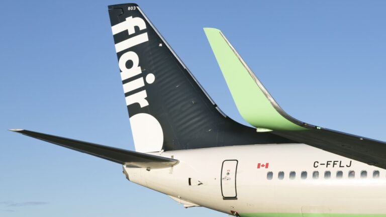Deux passagers de Flair en Colombie-Britannique ont été informés qu'une collision avec un oiseau avait annulé leur vol. Ils ont ensuite fait leurs propres recherches