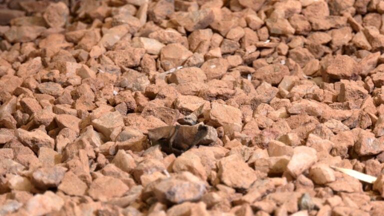 Le Canada va commencer à traiter un minerai rare utilisé pour alimenter des véhicules électriques