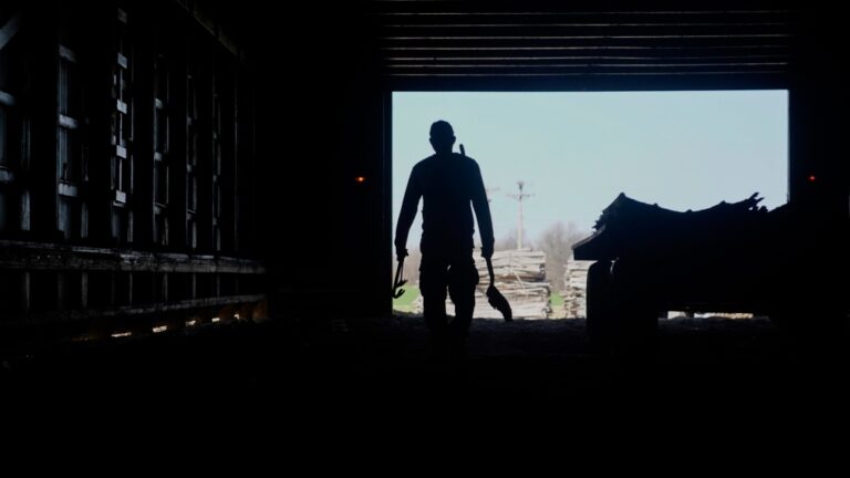 File image: A farm worker is silhouetted. (Joshua A. Bickel, The Canadian Press)