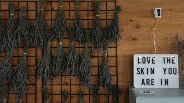 Bunches of cut lavender hang on display, Wednesday, Aug. 21, 2024, at Hereward Farms in East Garafraxa, Ontario. (AP Photo/Joshua A. Bickel)