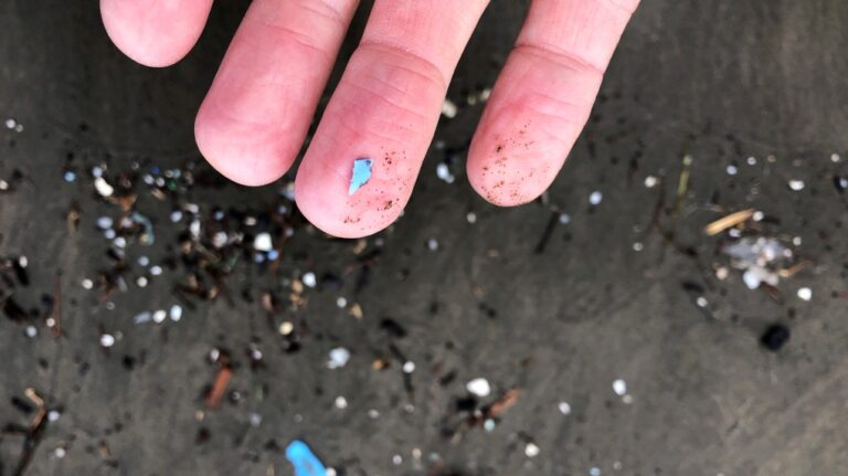 Microplastic debris pictured in this 2020 file photo. (AP Photo/Andrew Selsky)
