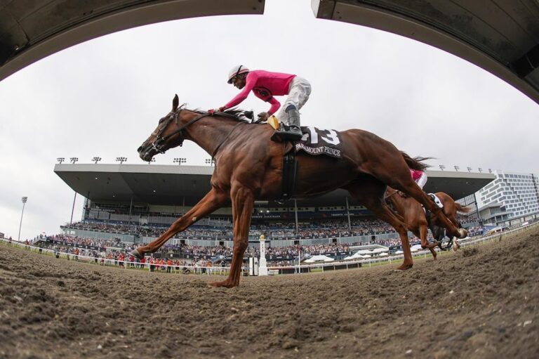My Boy Prince est installé comme favori à 7-5 pour King's Plate