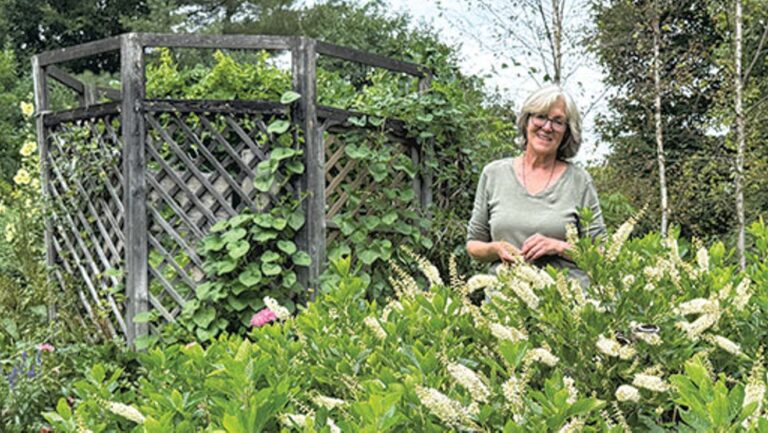 Questions et réponses : Visite de la pépinière Summersweet Garden avec Rachel Kane