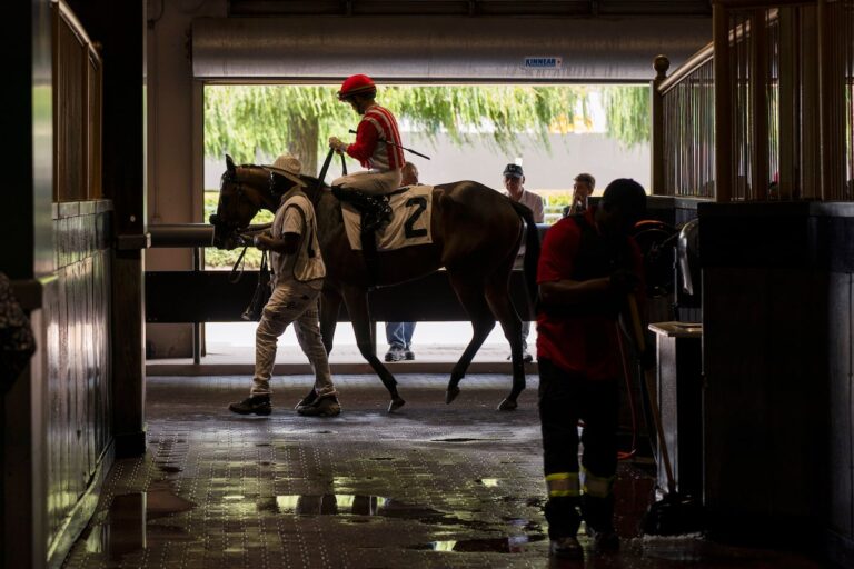 Swift Delivery, le cheval de course de Travis Kelce, termine 2e à la Coupe Toronto, alors que le lien avec Taylor Swift attire la foule
