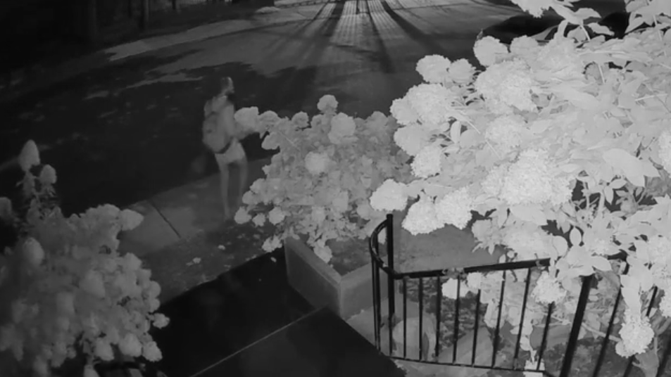 Un conseiller municipal de Montréal dit ne plus se sentir en sécurité après le vandalisme de sa maison