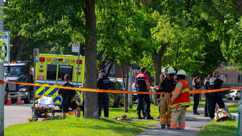 Un élagueur électrocuté alors qu'il travaillait sur un arbre, selon la police de Montréal
