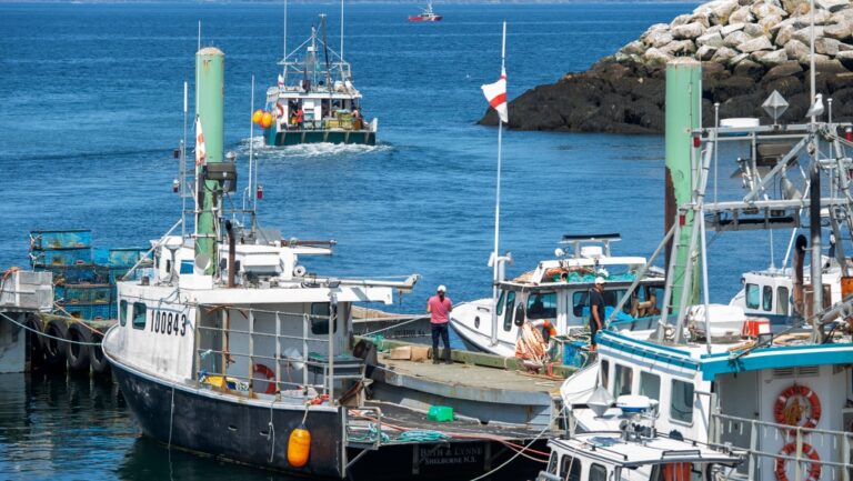 Un groupe de la Nouvelle-Écosse veut qu'un tribunal déclare illégale la pêche au homard d'une Première Nation