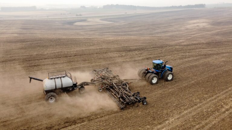 La Chine lance une enquête antidumping sur les importations de canola au Canada en réponse aux droits de douane sur les véhicules électriques