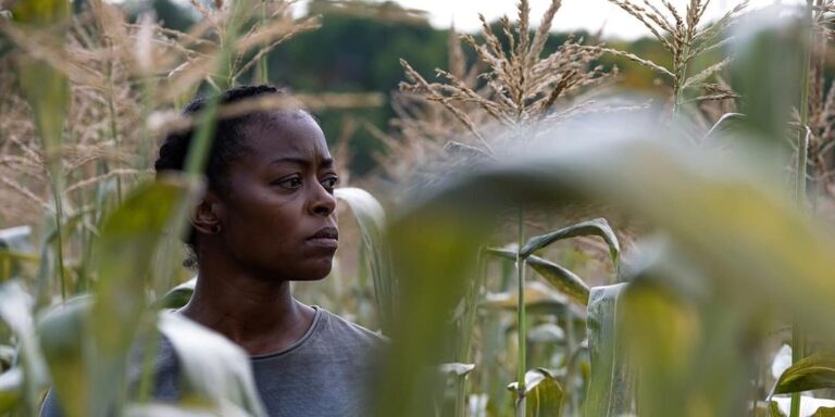 La production cinématographique de Sudbury laisse derrière elle des factures et des travailleurs impayés