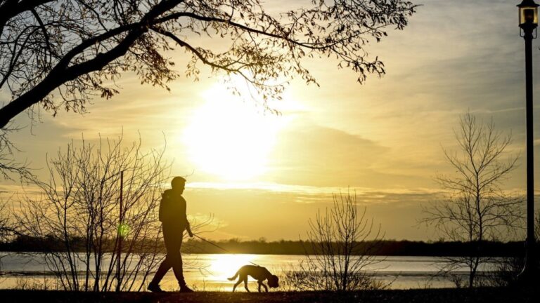 The sun sets behind a person as they walk their dog along Lac Saint-Louis in Montreal, on. March 3, 2024. (Graham Hughes/The Canadian Press via AP)