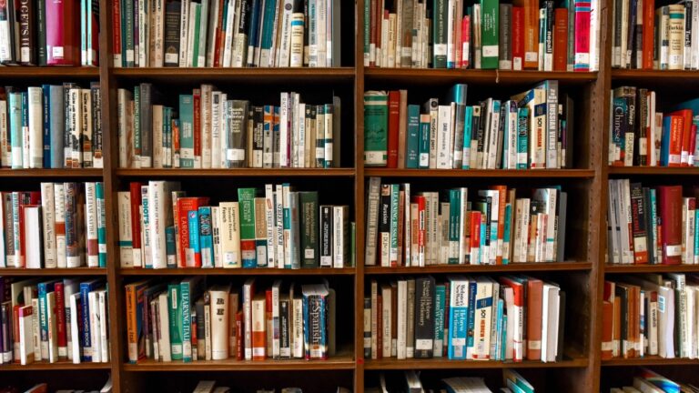 Library books are shown on shelves in this file image. (Element5 Digital / Pexels)