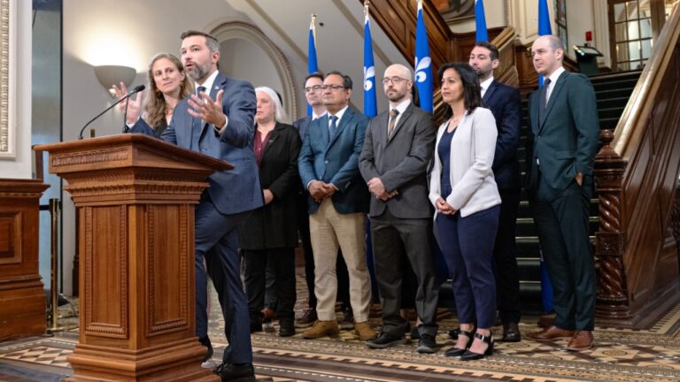 Québec solidaire espère que le départ de Fitzgibbon marquera la fin de l'arrogance de la CAQ